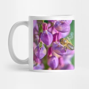 Bee descending on a lupin Mug